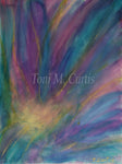 Burst of Colour and Glory